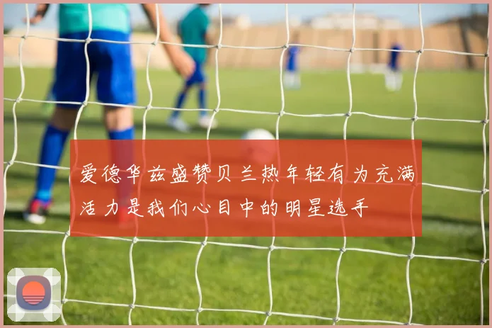 爱德华兹盛赞贝兰热年轻有为充满活力是我们心目中的明星选手