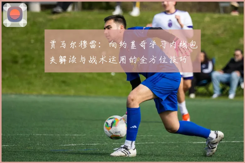 贾马尔穆雷：向约基奇学习内线包夹解读与战术运用的全方位技巧