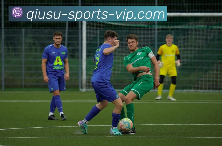 球速体育服务体系